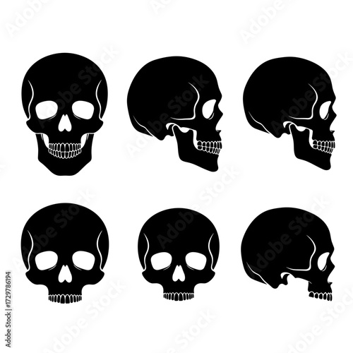 Assortment of black skull silhouettes in different frontal and profile orientations, useful for themes like mortality, history, and warning.