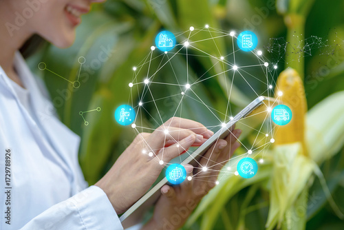 Science team working and researching in corn and organic farm. Quality check, laboratory greenhouse technology icon concept.