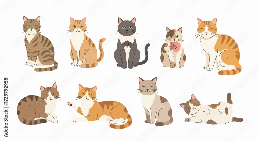 Obraz premium collection of cats