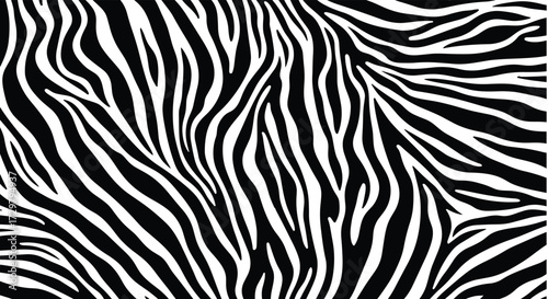 A close up view of the iconic black and white stripes of a zebra's natural coat pattern.