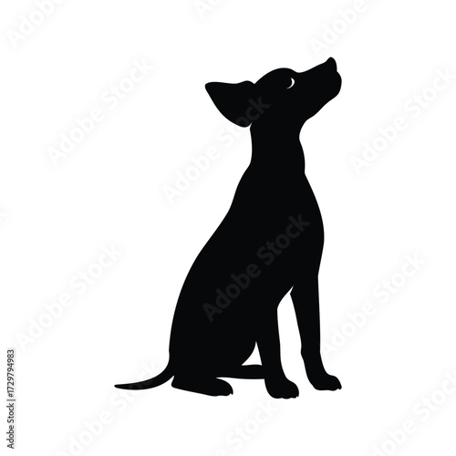 Silhouette of a dog sitting and looking up, with a white background, dog looking up silhouette vector illustration