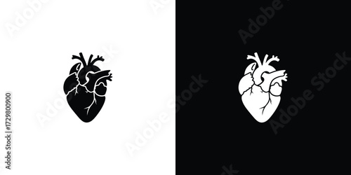 Anatomical Heart Illustration in Black and White, Detailed Medical Diagram on Contrasting Background