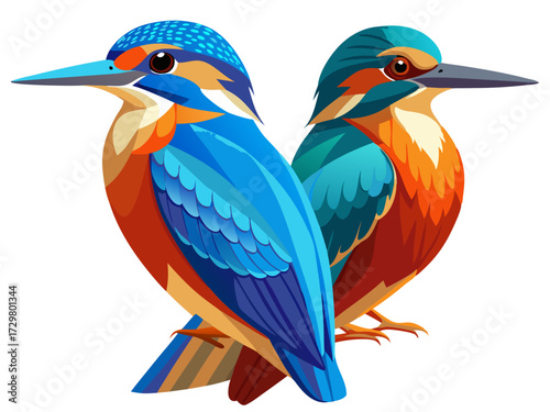 Two beautiful kingfisher birds with vibrant blue and orange feathers illustrated