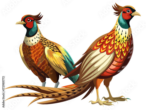 Illustration of a Pair of Colorful Pheasants with Detailed Plumage