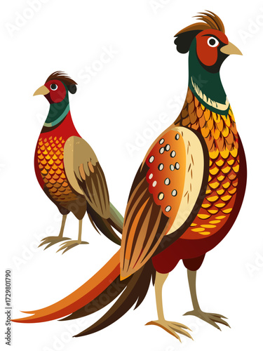 Two colorful pheasants standing close to each other in vector style