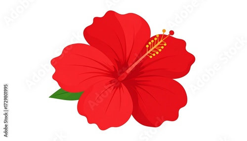 Vibrant red hibiscus flower illustration (1)