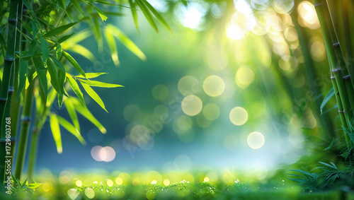 Fresh bamboo trees growing in dense green forest with blurred background