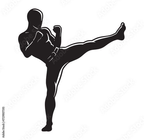 Silhouette of martial artist executing high kick in dynamic combat sport pose