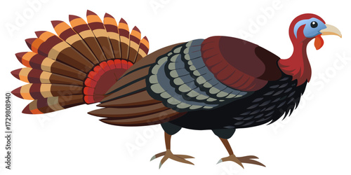 Cartoon turkey illustration with colorful feathers and detailed features design