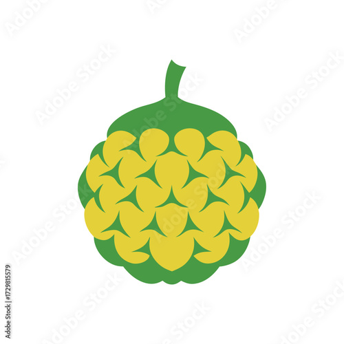 an abstract jackfruit its complex texture