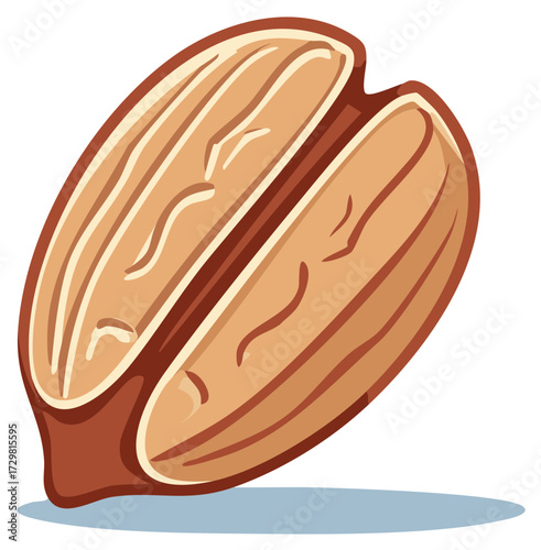 Delicious peanut kernel halves vector illustration isolated food snack icon