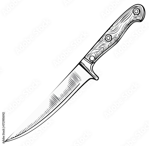 Classic kitchen utility knife illustration with a sharp blade and textured handle