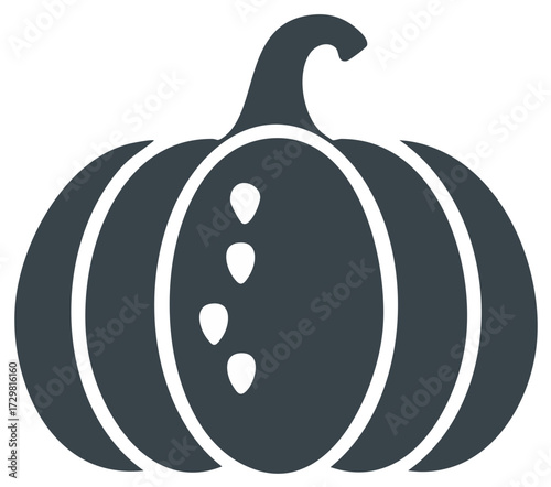 Simple dark pumpkin illustration with white lines