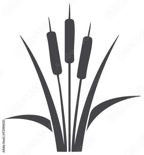 Stylized Cattails Bulrushes Silhouette Aquatic Plant Illustration Isolated on White Background