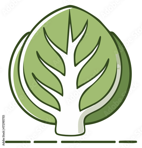 Fresh green lettuce head stylized illustration for healthy eating concepts