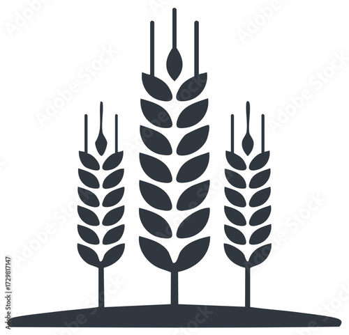 Minimalist three wheat stalks illustration representing farming harvest and natural food production