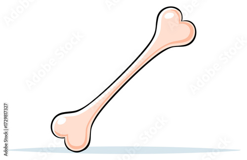 Simple cartoon bone illustration with glossy highlights and shadow, a vector icon for dogs or anatomy