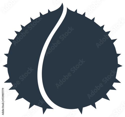 Castaña bur vector icon illustration with dark outline of spiky round nut opening to reveal seed inside