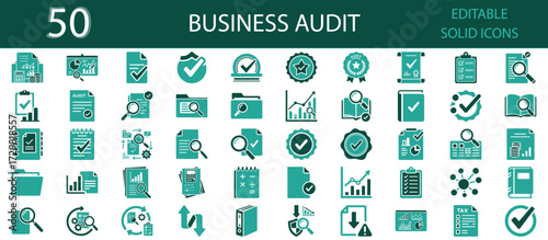 Business audit solid icons set. Accounting, compliance, verification, approval, certification, inspection, tax, risk, governance, analysis and reporting symbols. Editable vector design, business and f