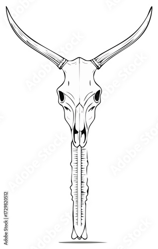 Detailed Line Art Illustration of a Longhorn Skull and Jawbone