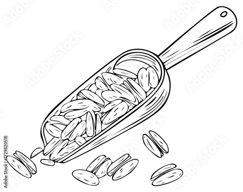 Hand drawn style illustration of sunflower seeds in wooden scoop. Black and white outline image of raw seeds