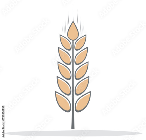 Wheat ear illustration in flat design style isolated on white