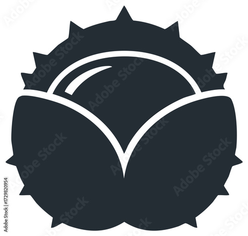 Open Chestnut Burr Vector Illustration Showing Seed Pod and Spikey Shell