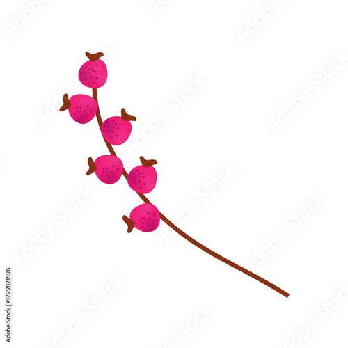 A single sprig with bright pink berries, isolated on a white background, symbolizing nature's bounty