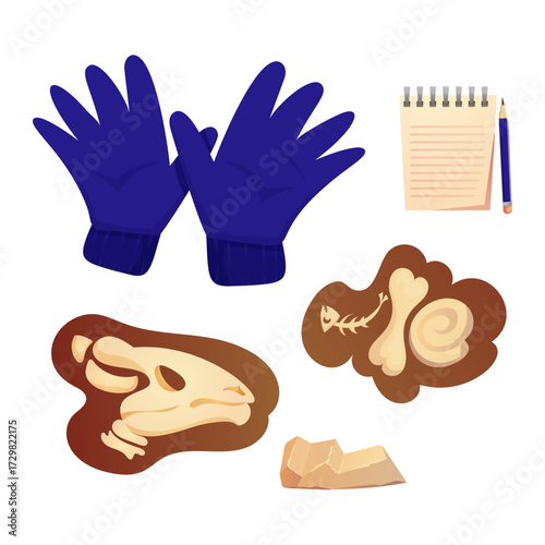 Collection of illustrated archeological and paleontological dig site artifacts and supplies