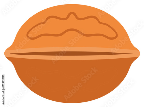 Simple flat vector illustration of a whole walnut in its hard shell