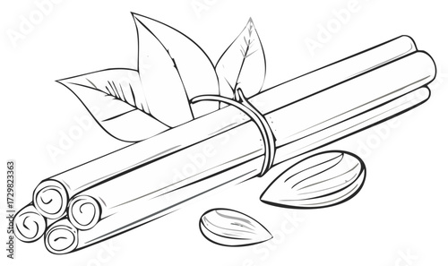 Black and white line art illustration of cinnamon sticks bundled with leaves and almonds food spice ingredient