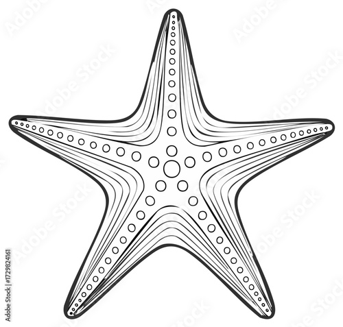 Simple starfish outline drawing perfect for children's coloring pages and aquatic themed designs