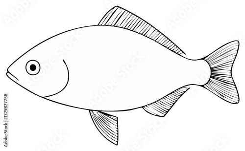 Stylized Fish Line Art Illustration for Print and Digital Resources Fresh Simple Isolated