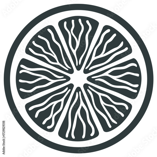 Stylized Citrus Fruit Slice Graphic Design With Dark Grey Outline and Segments
