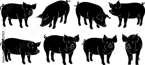Silhouette pigs set: charming farm animals in black and white