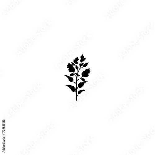 A black silhouette of a plant vector.
