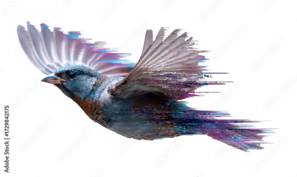 Obraz premium Bird in Mid-Flight with Stretched Visual Effects and Color Rips Isolate on Transparent Background, cutout, png