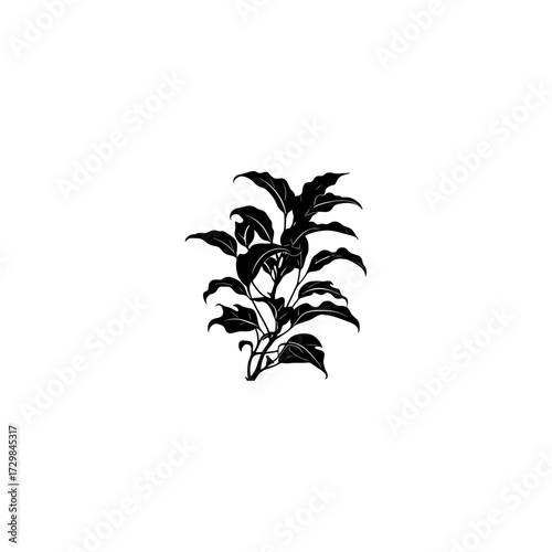 
A black silhouette of a plant .