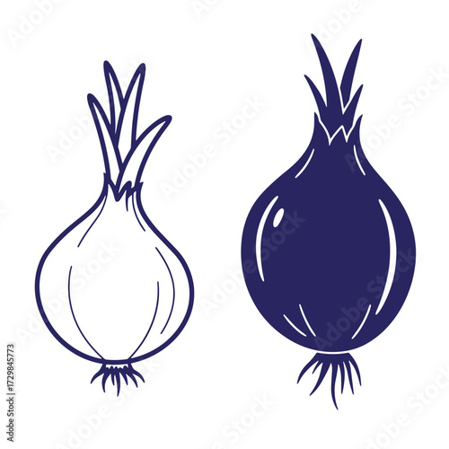Hand drawn outline of two fresh onions in different color variations for culinary usage.