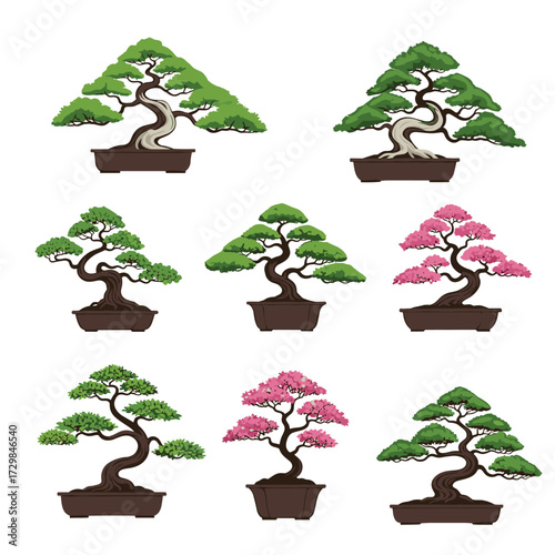 A collection of nine different bonsai trees presented in a grid format.