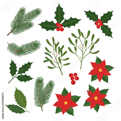 A festive collection of christmas foliage including pine needles holly mistletoe and poinsettia flowers.
