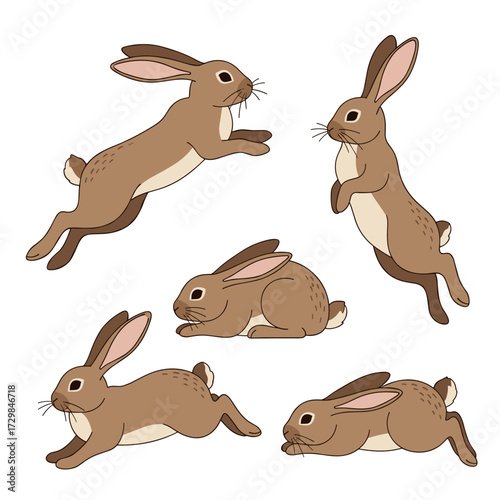 A collection of various brown hares captured in motion on a white background.