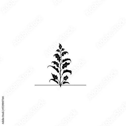 Elegant Silhouette of Leafy Branch on Clean White Background. 
