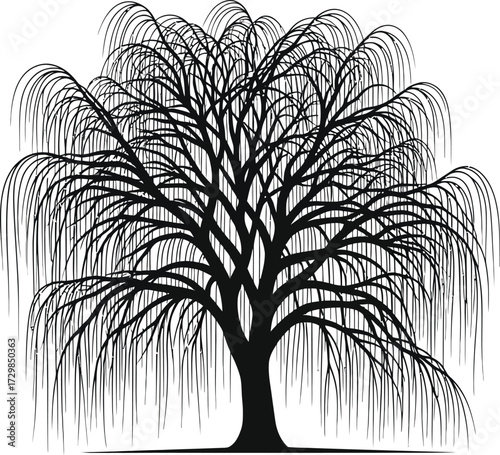 A graceful silhouette of a weeping willow tree, , with its cascading branches creating a beautiful and melancholic image, symbolizing resilience and natural elegance