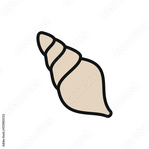 Seashell conch icon in color with line style for vacation, beach, and summer content.