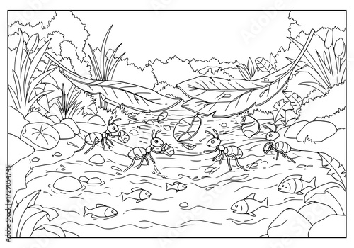 coloring book of ant