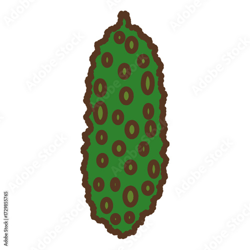 手書き風の単品アイコンイラスト　野菜　ゴーヤ