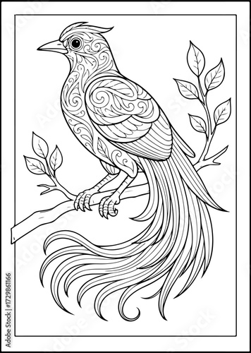 Bird-of-Paradise / Cenderawasih Zentangle Coloring Page — Exotic Long-Tail Bird (Vector)