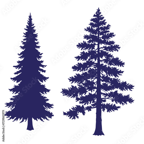 Silhouette illustration of two pine trees with detailed leafy branches isolated on white