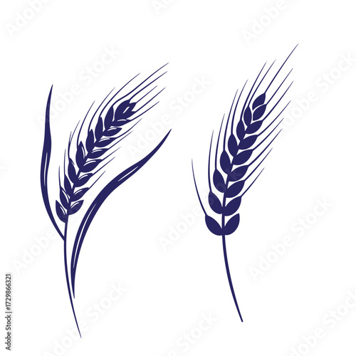 Two elegant dark blue wheat stalks on a white background suitable for various designs
